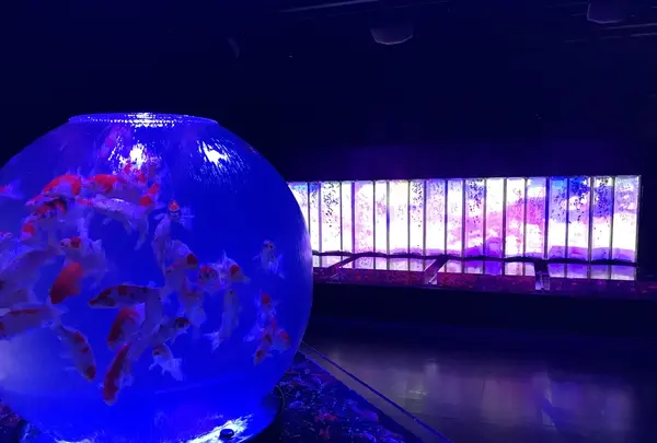 日本橋三井ホールの写真・動画_image_403944