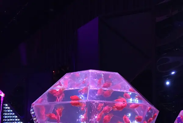 日本橋三井ホールの写真・動画_image_403946