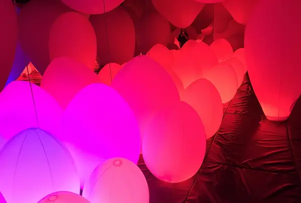 【閉業】森ビルデジタルアートミュージアム：エプソン チームラボボーダレス（MORI Building Digital Art Museum: EPSON teamLab Borderless）の写真・動画_image_403960