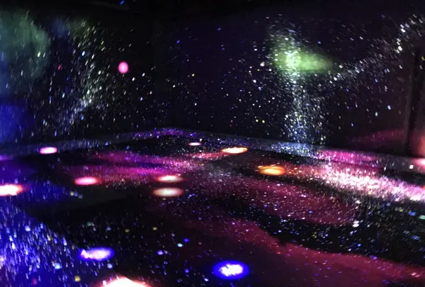 【閉業】森ビルデジタルアートミュージアム：エプソン チームラボボーダレス（MORI Building Digital Art Museum: EPSON teamLab Borderless）の写真・動画_image_403961