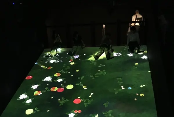【閉業】森ビルデジタルアートミュージアム：エプソン チームラボボーダレス（MORI Building Digital Art Museum: EPSON teamLab Borderless）の写真・動画_image_403963