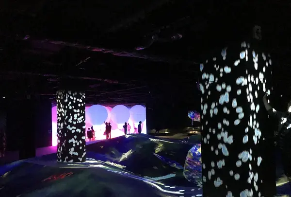 【閉業】森ビルデジタルアートミュージアム：エプソン チームラボボーダレス（MORI Building Digital Art Museum: EPSON teamLab Borderless）の写真・動画_image_403964