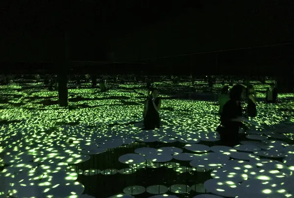 【閉業】森ビルデジタルアートミュージアム：エプソン チームラボボーダレス（MORI Building Digital Art Museum: EPSON teamLab Borderless）の写真・動画_image_403967