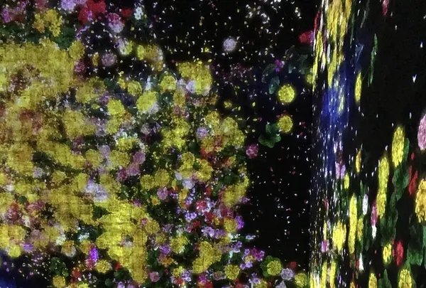 【閉業】森ビルデジタルアートミュージアム：エプソン チームラボボーダレス（MORI Building Digital Art Museum: EPSON teamLab Borderless）の写真・動画_image_403969