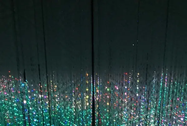 【閉業】森ビルデジタルアートミュージアム：エプソン チームラボボーダレス（MORI Building Digital Art Museum: EPSON teamLab Borderless）の写真・動画_image_403970