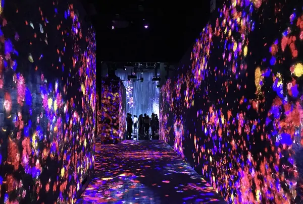 【閉業】森ビルデジタルアートミュージアム：エプソン チームラボボーダレス（MORI Building Digital Art Museum: EPSON teamLab Borderless）の写真・動画_image_403971