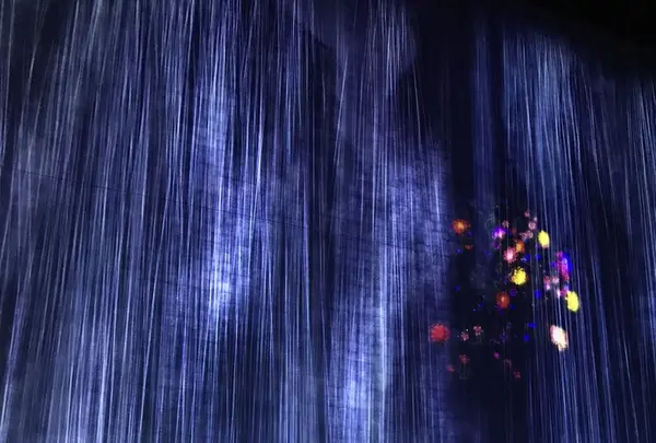 【閉業】森ビルデジタルアートミュージアム：エプソン チームラボボーダレス（MORI Building Digital Art Museum: EPSON teamLab Borderless）の写真・動画_image_403972