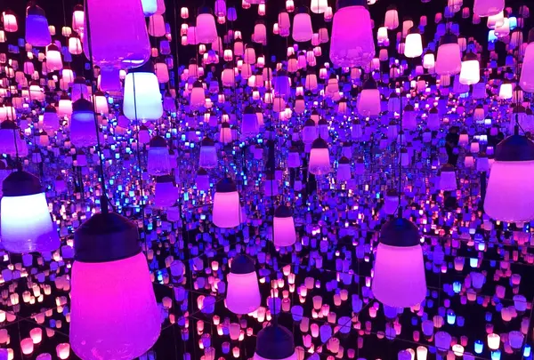【閉業】森ビルデジタルアートミュージアム：エプソン チームラボボーダレス（MORI Building Digital Art Museum: EPSON teamLab Borderless）の写真・動画_image_403973