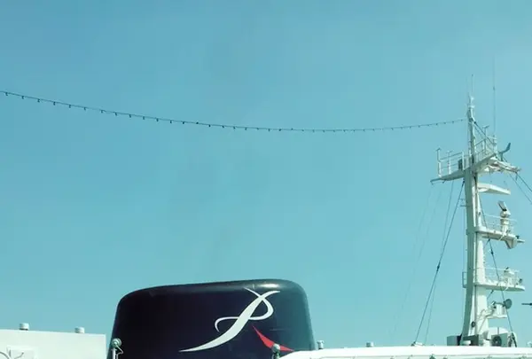 日本大通りの写真・動画_image_406183