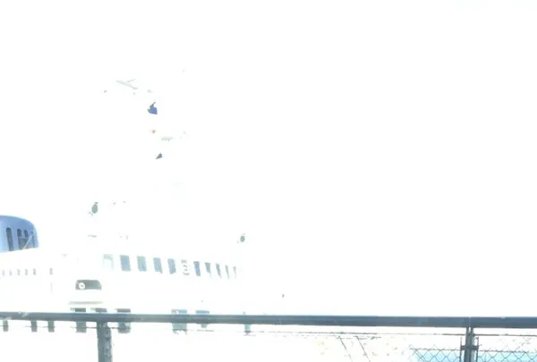 日本大通りの写真・動画_image_406188