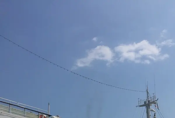 日本大通りの写真・動画_image_406190