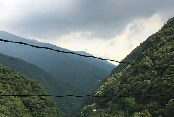 四国まんなか千年物語の写真・動画_image_406539