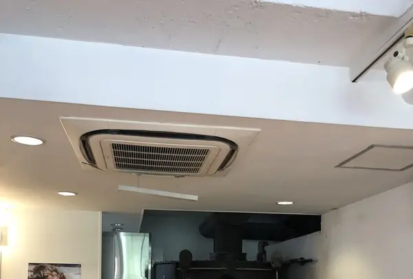 フレイズ フェイマス ピッツェリア（FREY's Famous Pizzeria）の写真・動画_image_407122