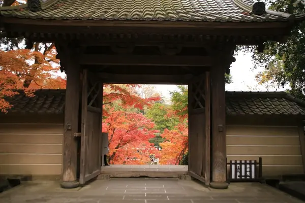 円覚寺の写真・動画_image_407408