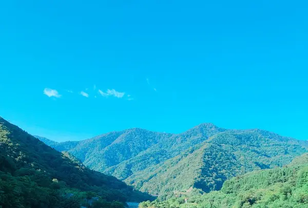 積善館の写真・動画_image_407895