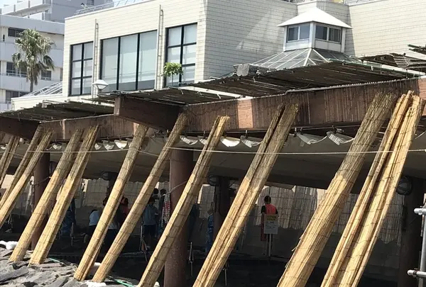 指宿温泉の写真・動画_image_408035