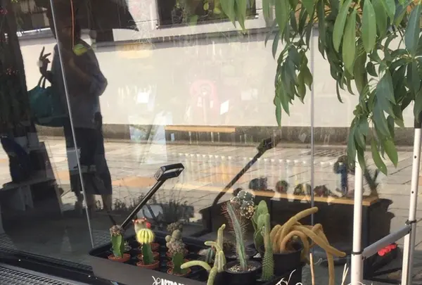 小江戸川越一番街商店街 蔵造りの町並みの写真・動画_image_408101