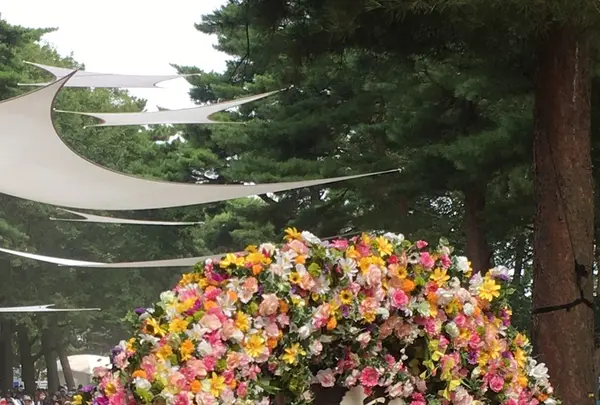 国営ひたち海浜公園の写真・動画_image_408273