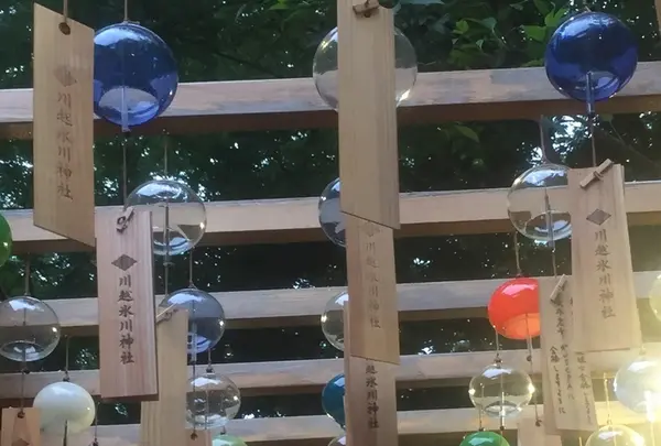 川越氷川神社の写真・動画_image_408299