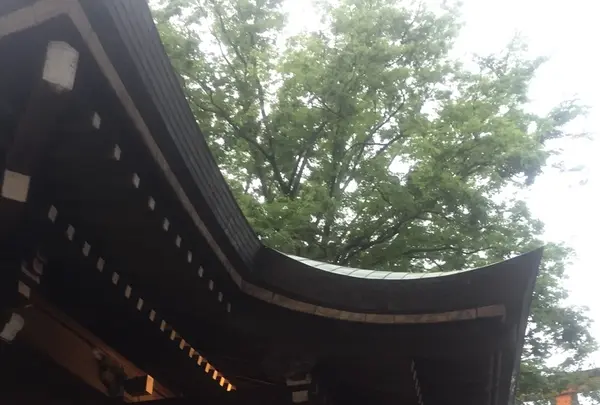 川越氷川神社の写真・動画_image_408300