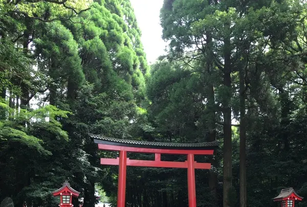 霧島神宮の写真・動画_image_410143
