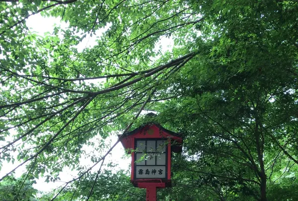 霧島神宮の写真・動画_image_410144