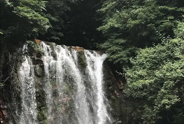 丸尾滝の写真・動画_image_410150