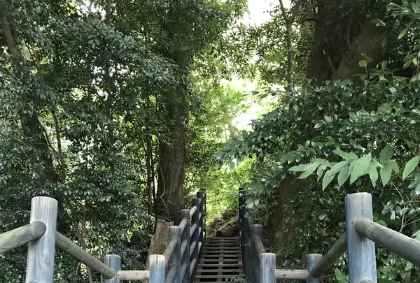 丸尾滝の写真・動画_image_410151