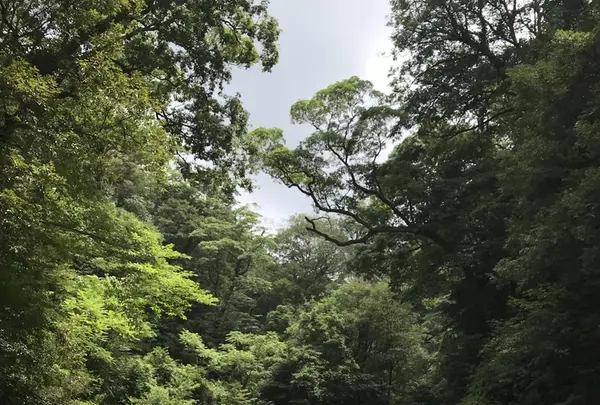 丸尾滝の写真・動画_image_410152