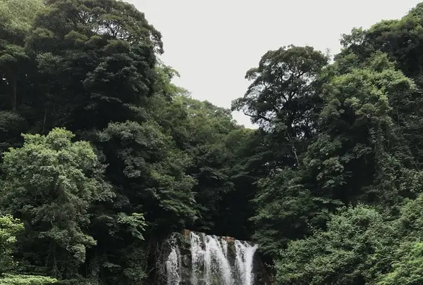 丸尾滝の写真・動画_image_410153