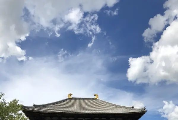 東大寺金堂（大仏殿）の写真・動画_image_410794