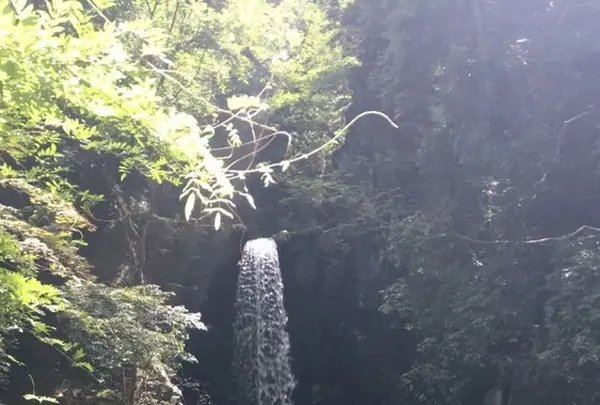 鼓ケ滝公園の写真・動画_image_410837