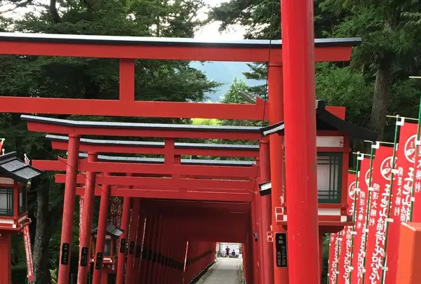 王地山まけきらい稲荷の写真・動画_image_410838