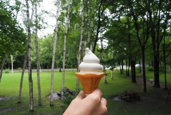 富良野チーズ工房の写真・動画_image_411991