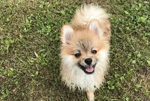 彩湖道満グリーンパークの写真・動画_image_412000