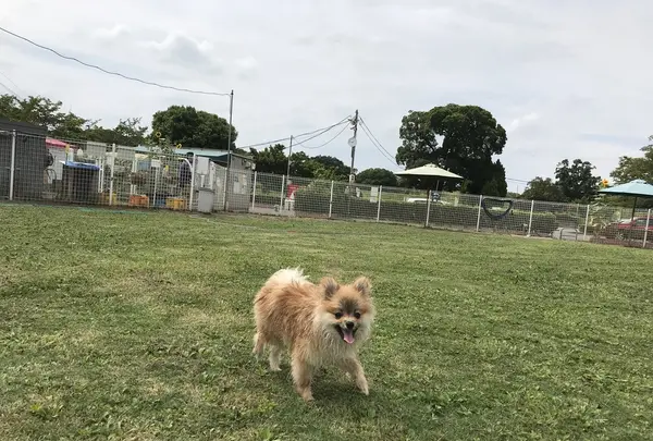 彩湖道満グリーンパークの写真・動画_image_412001