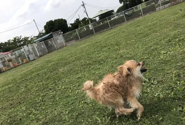 彩湖道満グリーンパークの写真・動画_image_412002