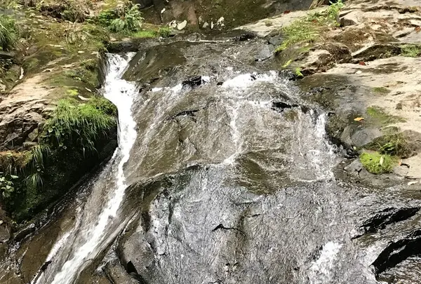 県立自然公園宇津江四十八滝の写真・動画_image_412251