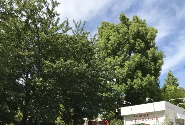 東京ミッドタウンの写真・動画_image_412705