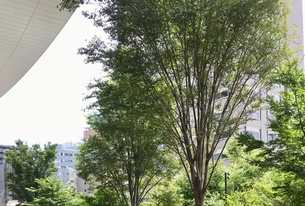 虎ノ門コーヒー（TORANOMON KOFFEE）の写真・動画_image_412772