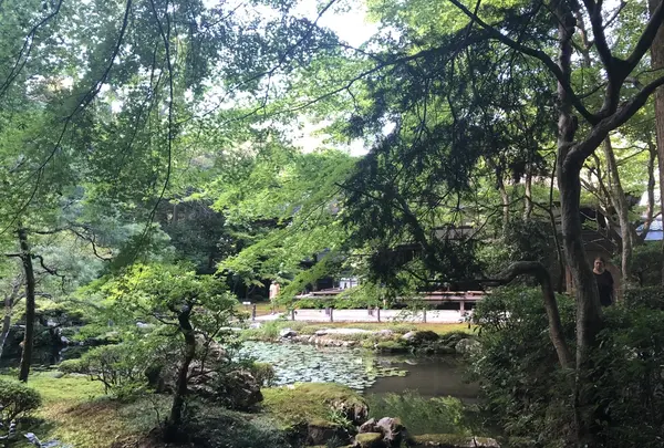 南禅寺の写真・動画_image_413144