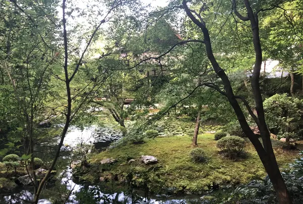 南禅寺の写真・動画_image_413145