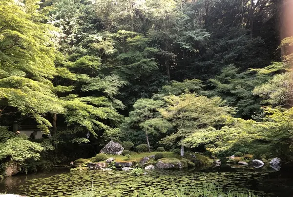 南禅寺の写真・動画_image_413146