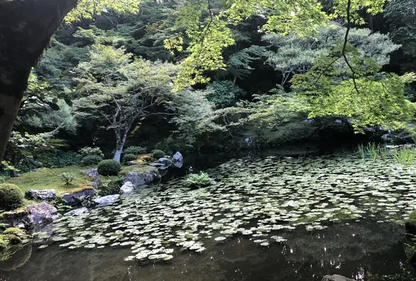 南禅寺の写真・動画_image_413147