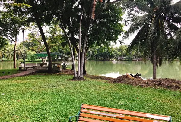 Lumpini Parkの写真・動画_image_416060