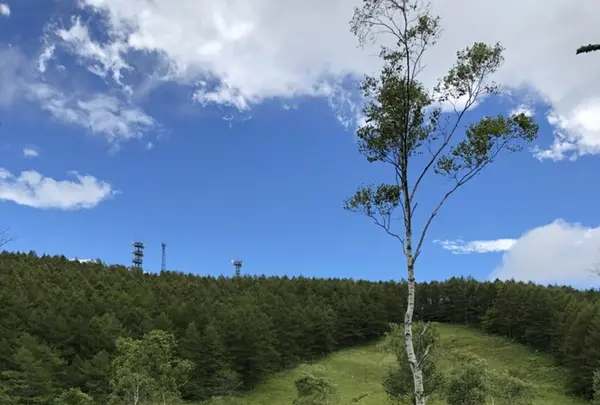 入笠山の写真・動画_image_417856