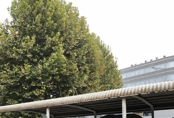 大塚台公園の写真・動画_image_420129