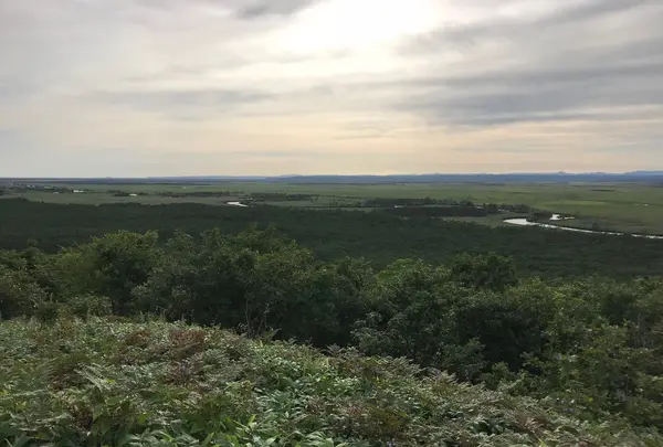 釧路湿原国立公園の写真・動画_image_421218