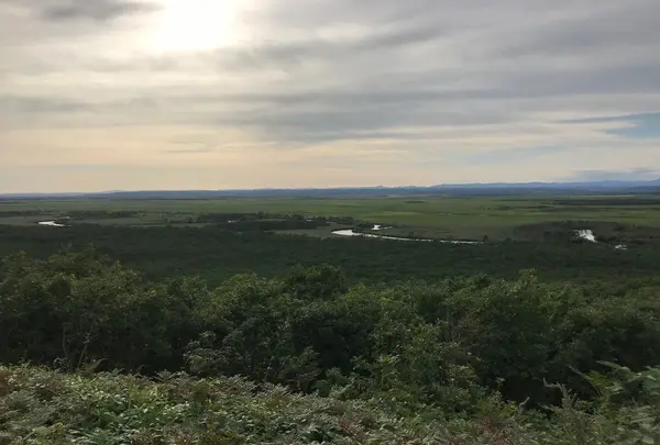 釧路湿原国立公園の写真・動画_image_421219