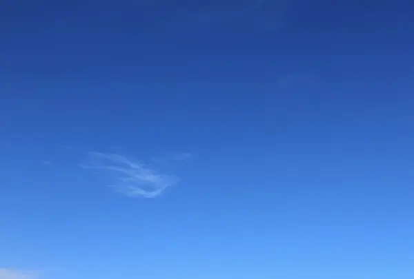 興津海水浴場の写真・動画_image_424331